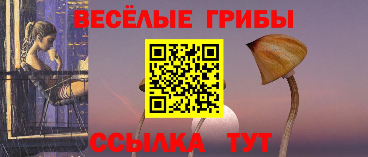 Галлюциногенные грибы Cubensis  Вход с VPN  Корсаков 